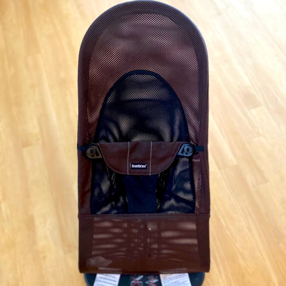 Baby bjorn infant bouncer